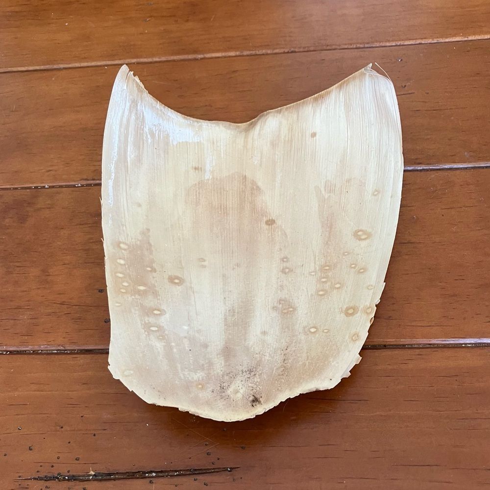 Dried Palm Leaf